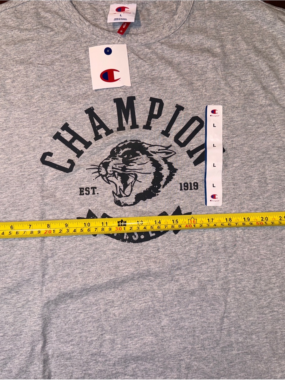 NWT Champion Phys. Ed. Boxy Cropped Graphic T-Shirt – Men’s Large - Picture 4 of 7